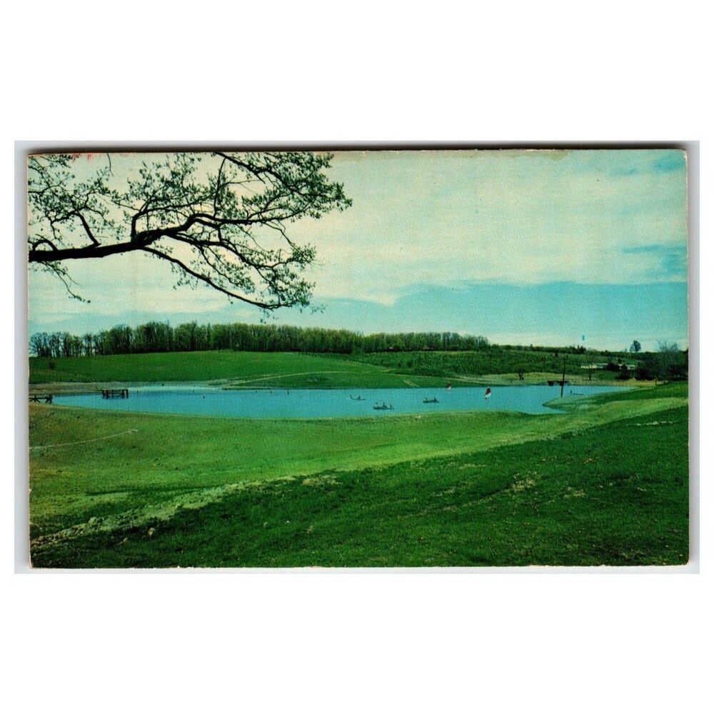 Massanetta Springs Lake Harrisonburg VA Vintage Chrome Postcard Dukane Press